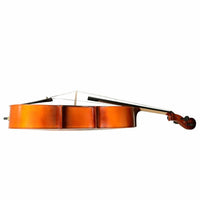 Professional Cello 4/4 Full Size Basswood Set with Bag+Bow+Rosin+